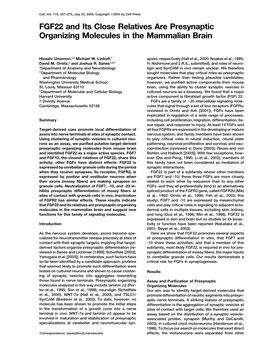 FGF22 and Its Close Relatives Are Presynaptic Organizing Molecules in the Mammalian Brain