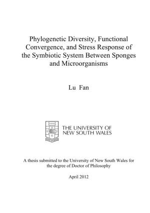 Phylogenetic Diversity, Functional Convergence, and Stress Response of the Symbiotic System Between Sponges and Microorganisms