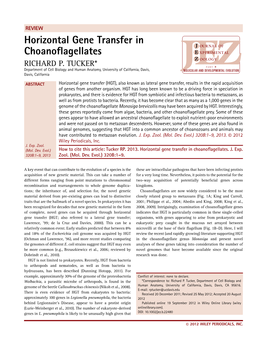 Horizontal Gene Transfer in Choanoflagellates
