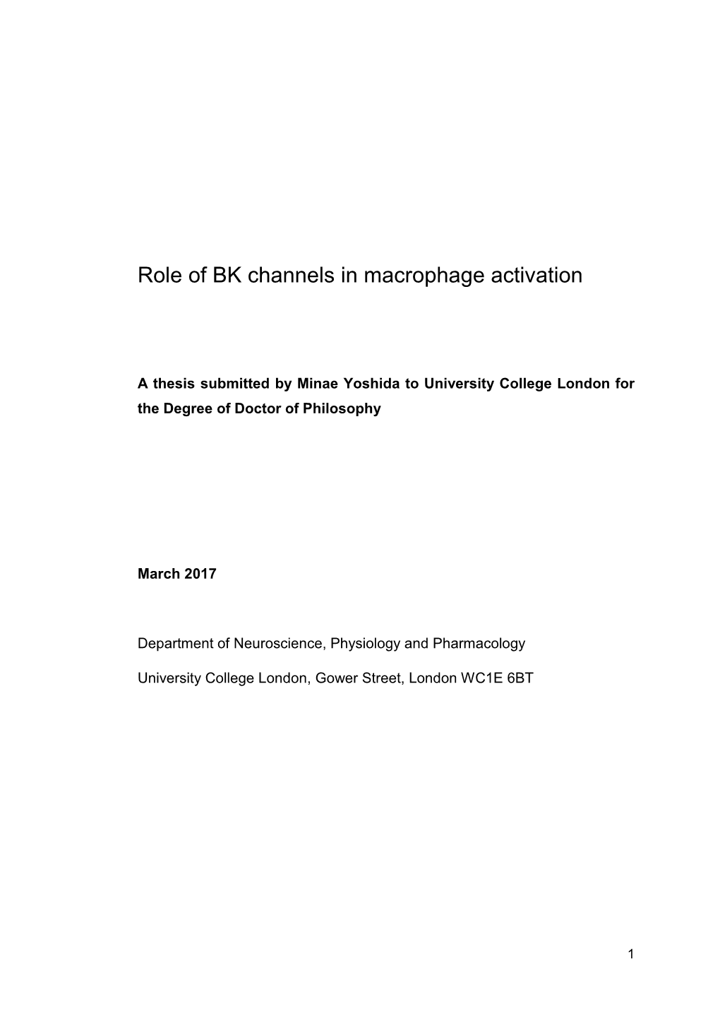 Role of BK Channels in Macrophage Activation