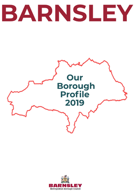 Our Borough Profile (2019)