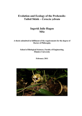 Evolution and Ecology of the Solomon Archipelago Tree Skink – Corucia