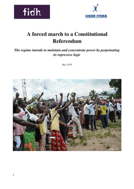 A Forced March to a Constitutional Referendum