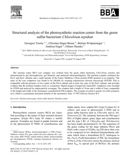 Structural Analysis of the Photosynthetic Reaction Center from the Green Sulfur Bacterium Chlorobium Tepidum