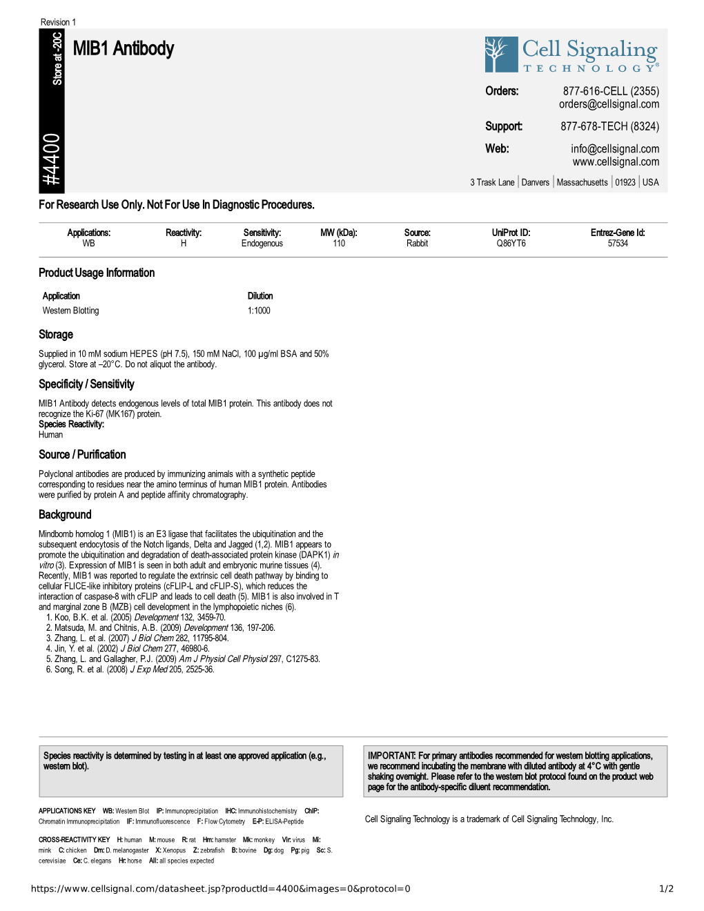 MIB1 Antibody A