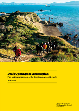 Draft Open Space Access Plan Document