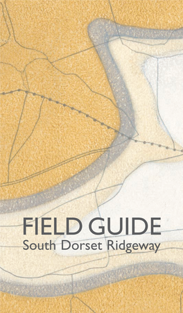 FIELD GUIDE South Dorset Ridgeway This Guide and Accompanying Maps Have Been Produced by Dorset Based Artist Amanda FIELD GUIDE Wallwork