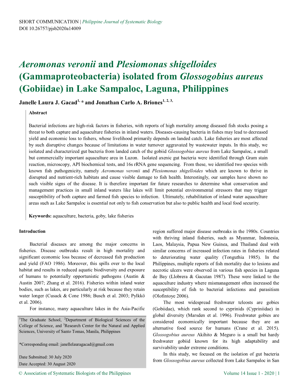 Aeromonas Veronii and Plesiomonas Shigelloides (Gammaproteobacteria) Isolated from Glossogobius Aureus (Gobiidae) in Lake Sampaloc, Laguna, Philippines