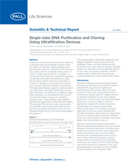 Single-Tube DNA Purification and Cloning Using Ultrafiltration Devices