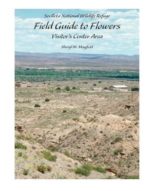 Sevilleta National Wildlife Refuge Field Guide to Flowers Visitor’S Center Area Sheryl M