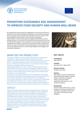 Promoting Sustainable Soil Management to Improve Food Security and Human Well-Being