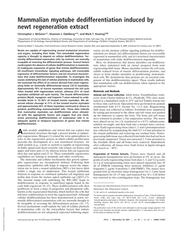 Mammalian Myotube Dedifferentiation Induced by Newt Regeneration Extract