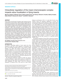 Intracellular Regulation of the Insect Chemoreceptor Complex Impacts Odour Localization in Flying Insects Merid N