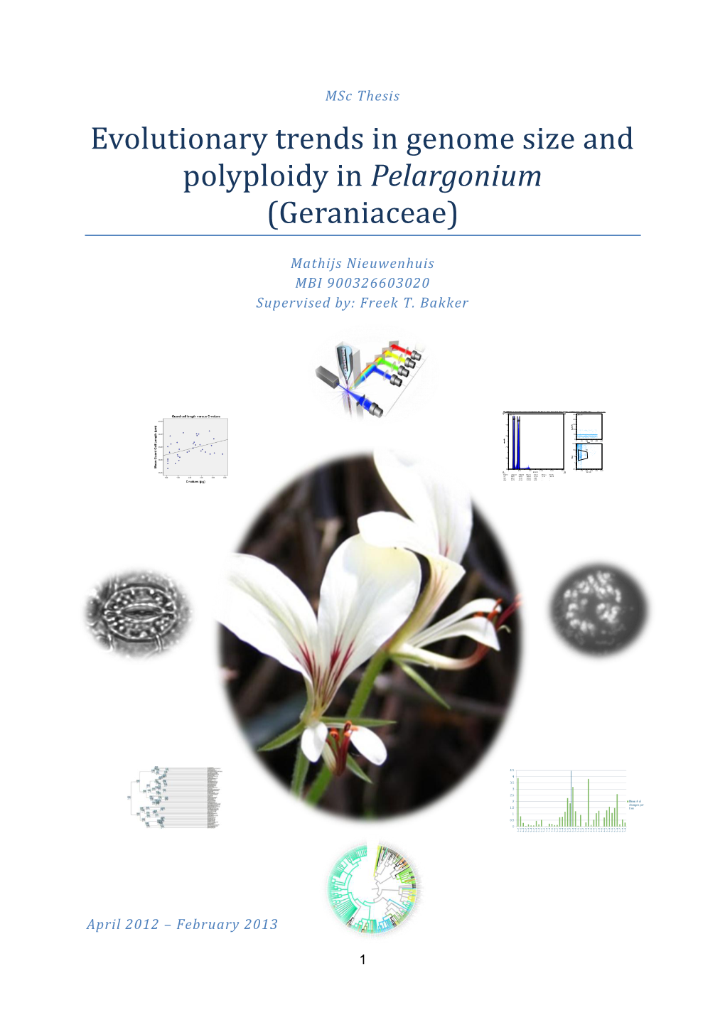 Msc Thesis Evolutionary Trends in Genome Size and Polyploidy in Pelargonium (Geraniaceae)