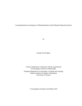 Conceptualizations and Impacts of Multiculturalism in the Ethiopian Education System
