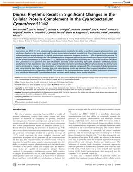 Cyanothece 51142