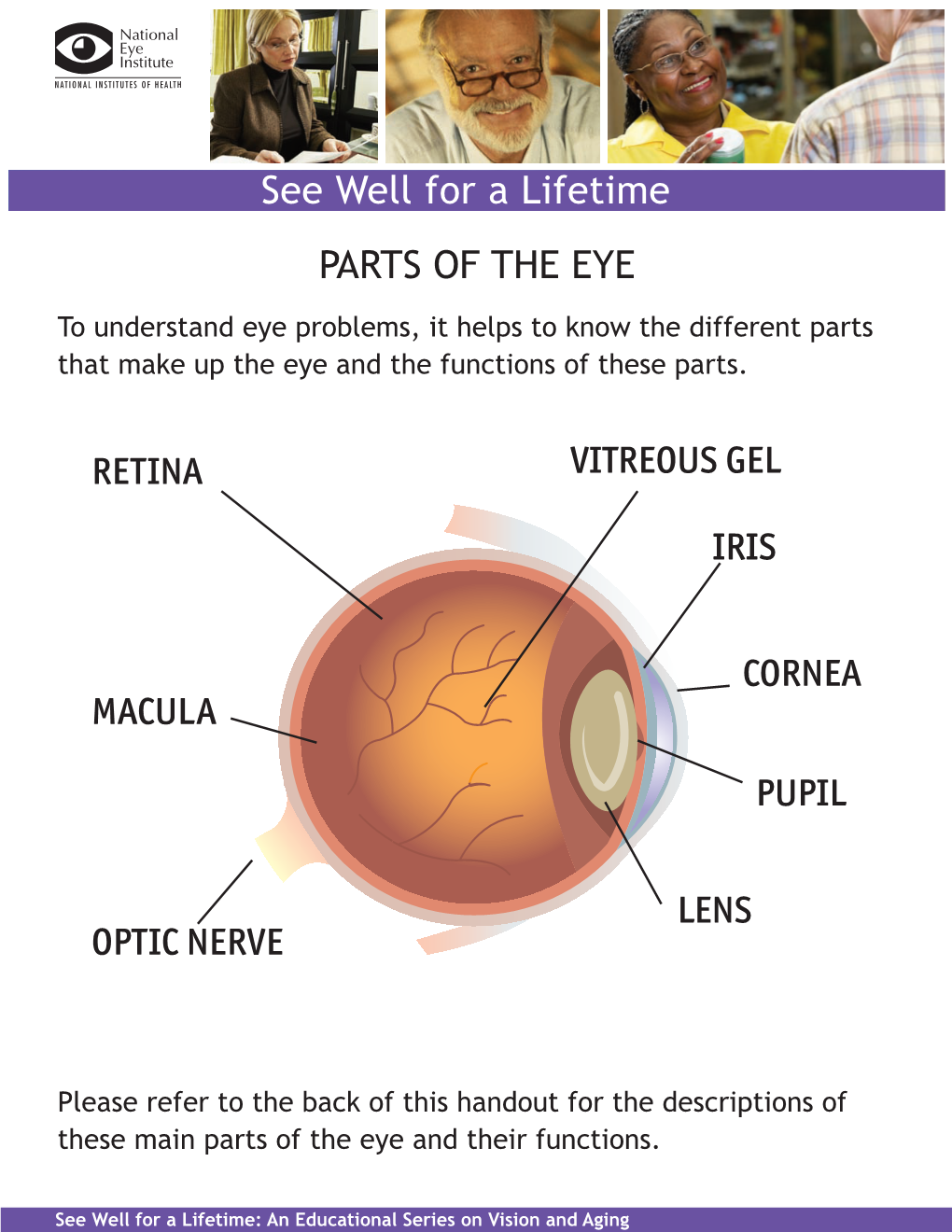 Download Parts of the Eye