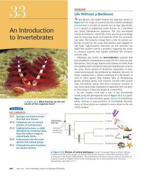 An Introduction to Invertebrates 667 � Figure 33.3 (Continued) Exploring Invertebrate Diversity