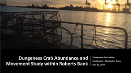 Dungeness Crab Abundance and Movement Study Within Roberts Bank