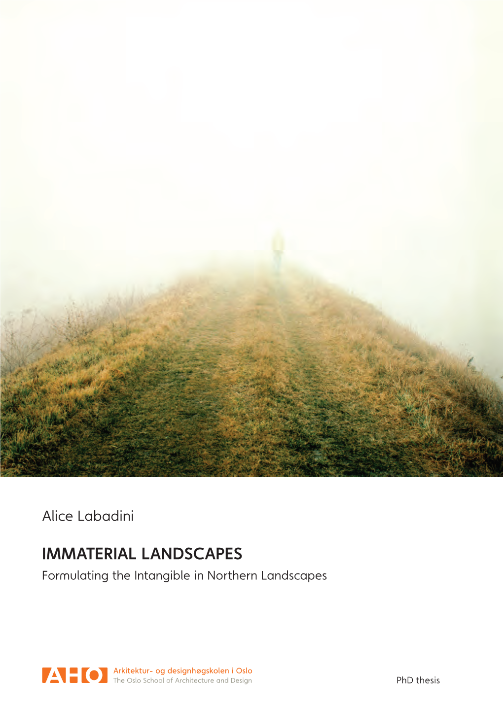 Labadini Immaterial Landscapes ADORA Nu Sm