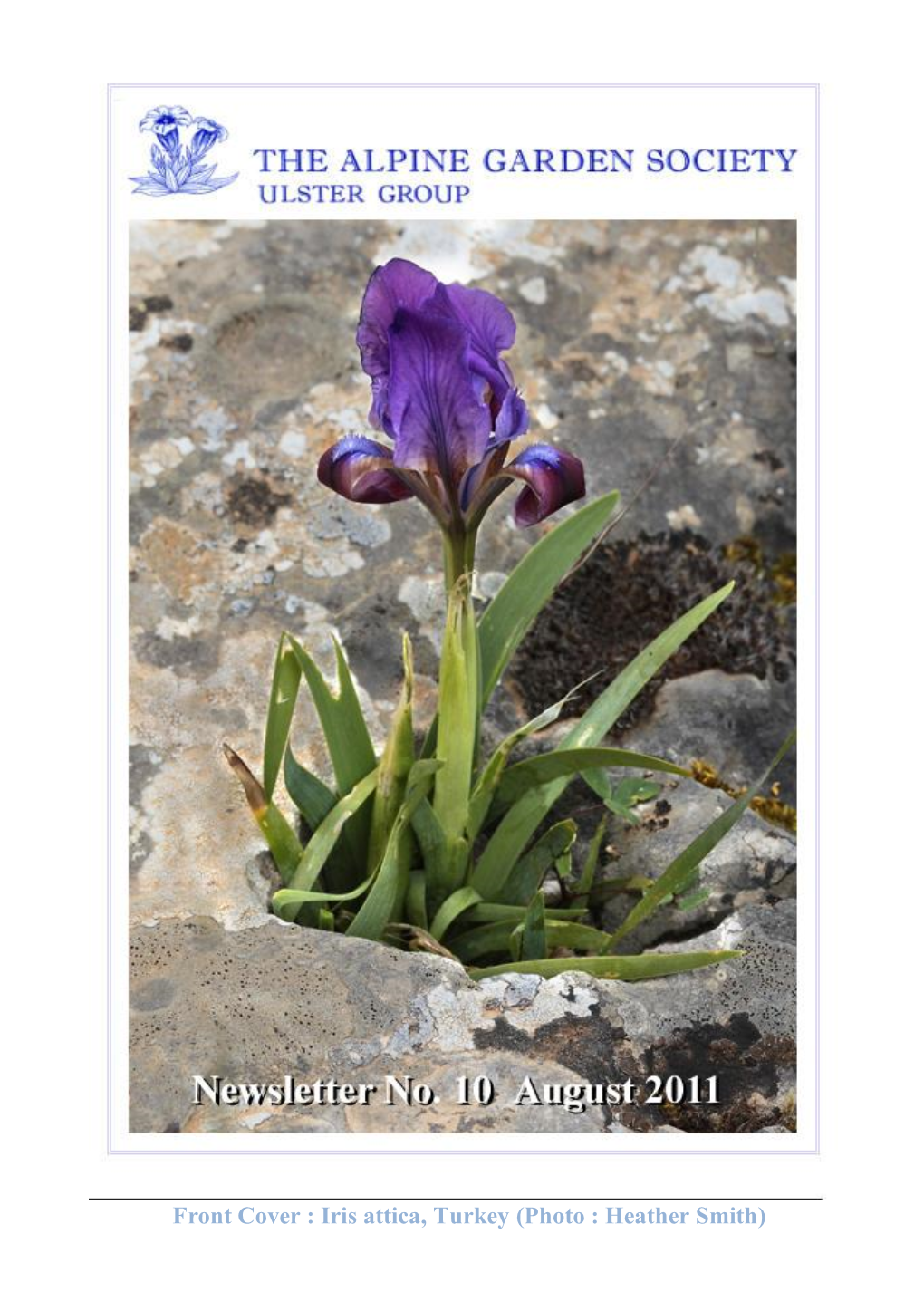 Front Cover : Iris Attica, Turkey (Photo : Heather Smith)