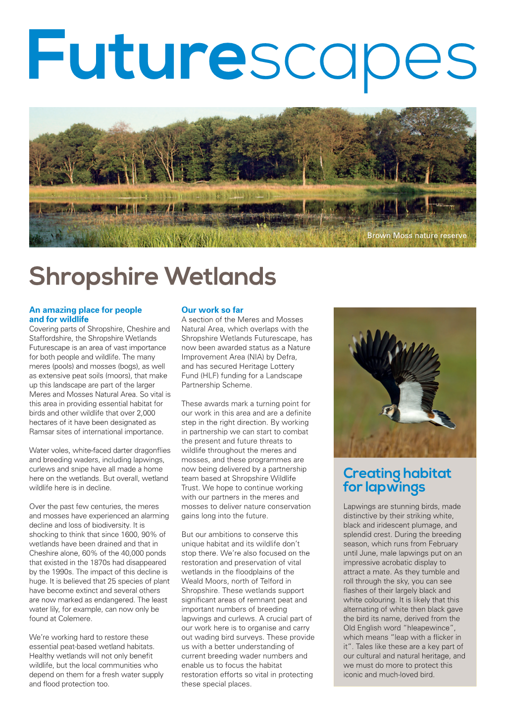 Shropshire Wetlands