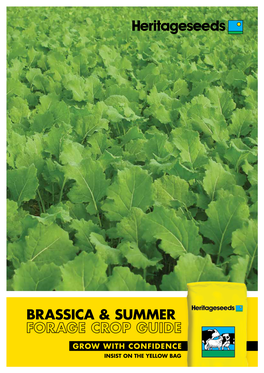 Brassica & Summer