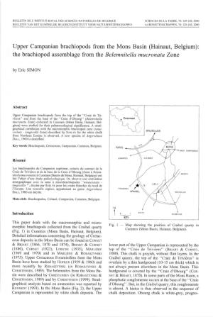 The Brachiopod Assemblage from the Belemnitella Mucronata Zone by Eric SIMON
