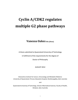 Cyclin A/CDK2 Regulates Multiple G2 Phase Pathways
