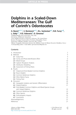 Dolphins in a Scaled-Down Mediterranean: the Gulf of Corinth’S Odontocetes