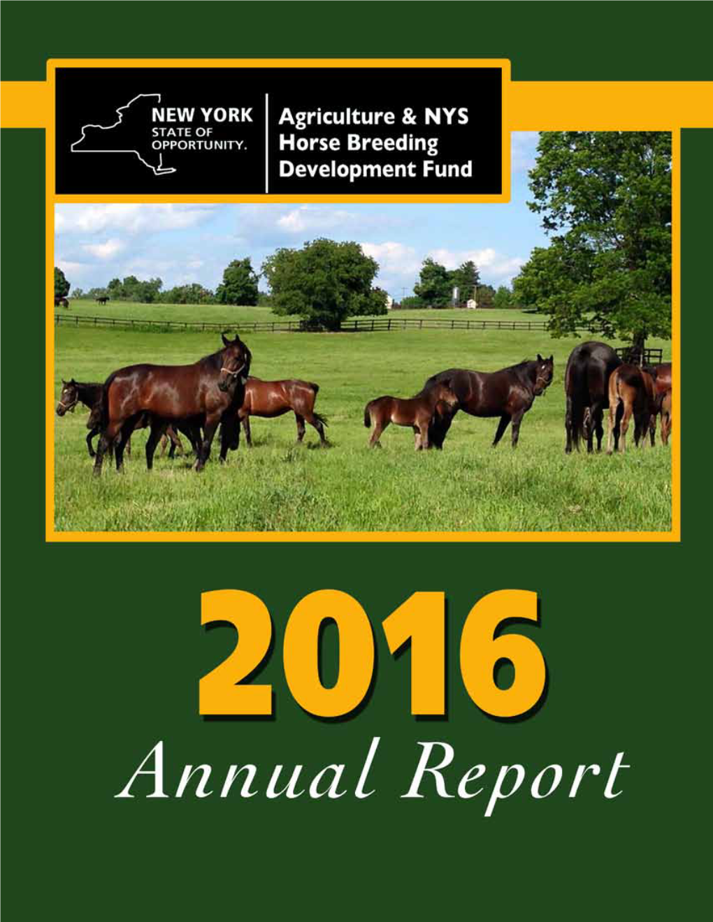 2016 Annual Report