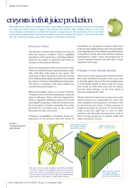 Enzymes in Fruit Juice Production