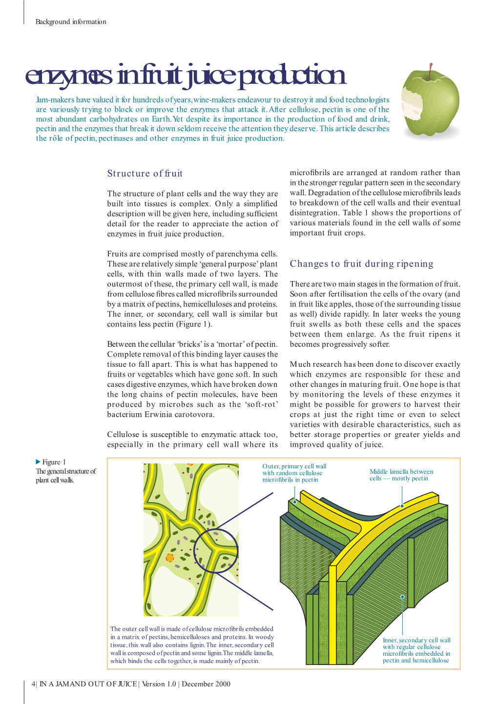 Enzymes in Fruit Juice Production