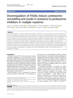 Downregulation of Pa28α Induces Proteasome Remodeling and Results
