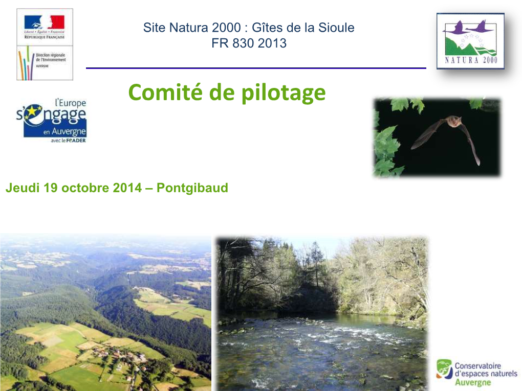 Site Natura 2000 : Gîtes De La Sioule FR 830 2013