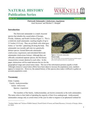 NATURAL HISTORY Publication Series NHS‐ 12 ‐ 16 November 2012 Flatwoods Salamander (Ambystoma Cingulatum) Zack Seymour1 and Michael T