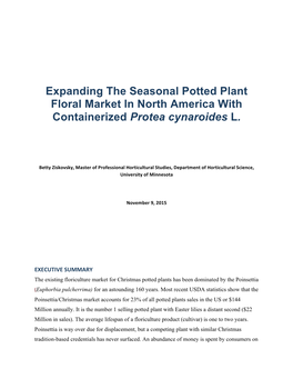 Expanding the Seasonal Potted Plant Floral Market in North America with Containerized Protea Cynaroides L