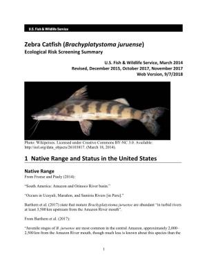 Zebra Catfish (Brachyplatystoma Juruense) Ecological Risk Screening Summary