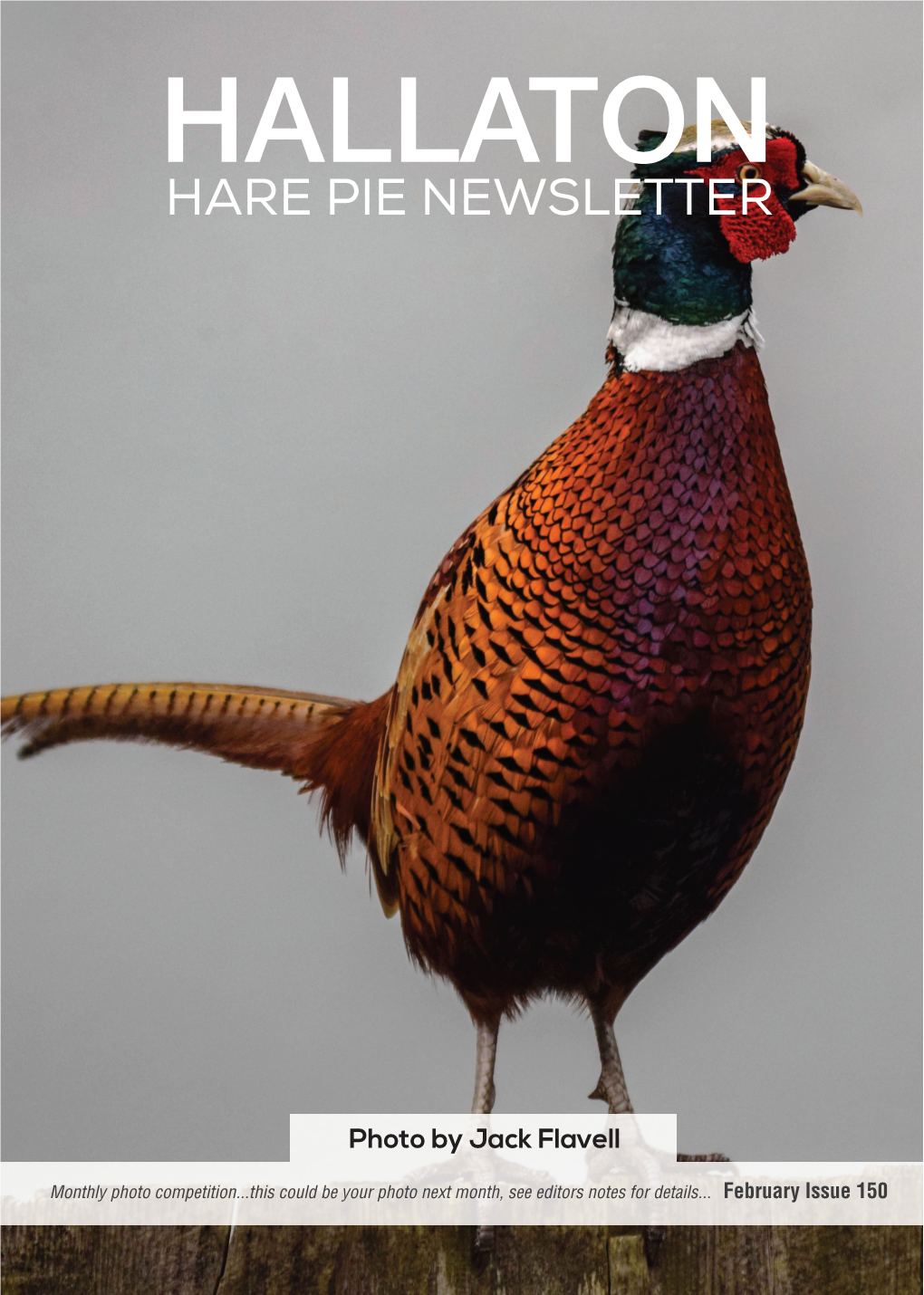 Hallatonhare Pie Newsletter