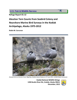 Kodiak Aleutian Tern Counts 1975-2012