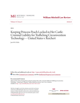 Keeping Princess Peach Locked in Her Castle: Criminal Liability for Trafficking Circumvention Technology—United States V