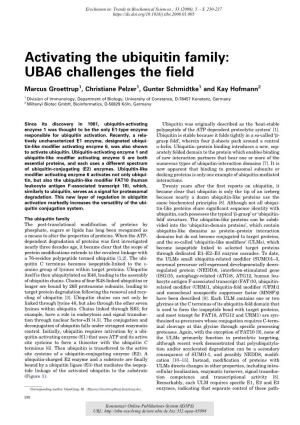 Activating the Ubiquitin Family : UBA6 Challenges the Field