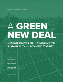 A GREEN NEW DEAL a PROGRESSIVE VISION for ENVIRONMENTAL SUSTAINABILITY and ECONOMIC STABILITY