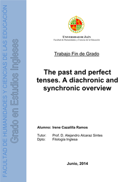 The Past and Perfect Tenses. a Diachronic and Synchronic Overview