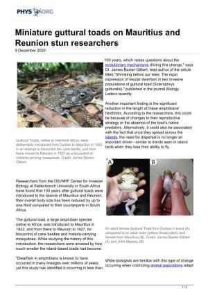 Miniature Guttural Toads on Mauritius and Reunion Stun Researchers 9 December 2020