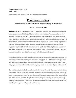 Plantosaurus Rex Prehistoric Plants at the Conservatory of Flowers