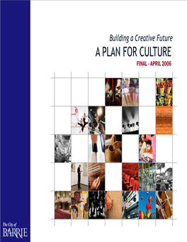 A PLAN for CULTURE FINAL - APRIL 2006 Building a Creative Future Acknowledgements