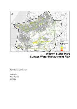 Weston-Super-Mare Surface Water Management Plan