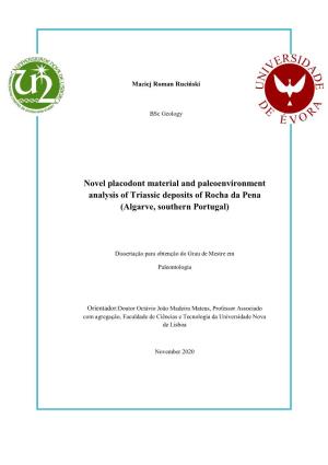 Novel Placodont Material and Paleoenvironment Analysis of Triassic Deposits of Rocha Da Pena (Algarve, Southern Portugal)