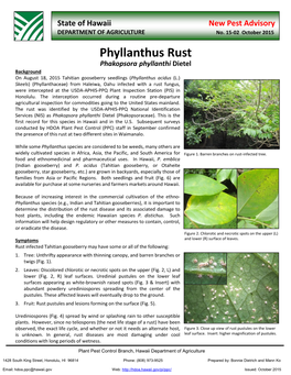 Phyllanthus Rust